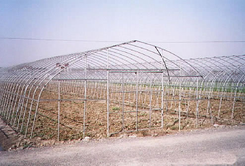 GP-622标准型单体大棚