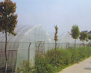 标准型单栋大棚GP-832/GP-825/GP-622