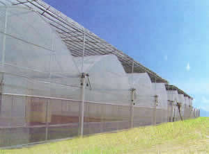 连栋塑料温室大棚GLP8432/GLPP7432