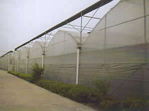 连栋塑料温室大棚GSW8430/GSW7430