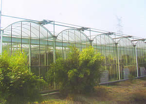 计算机控制系统