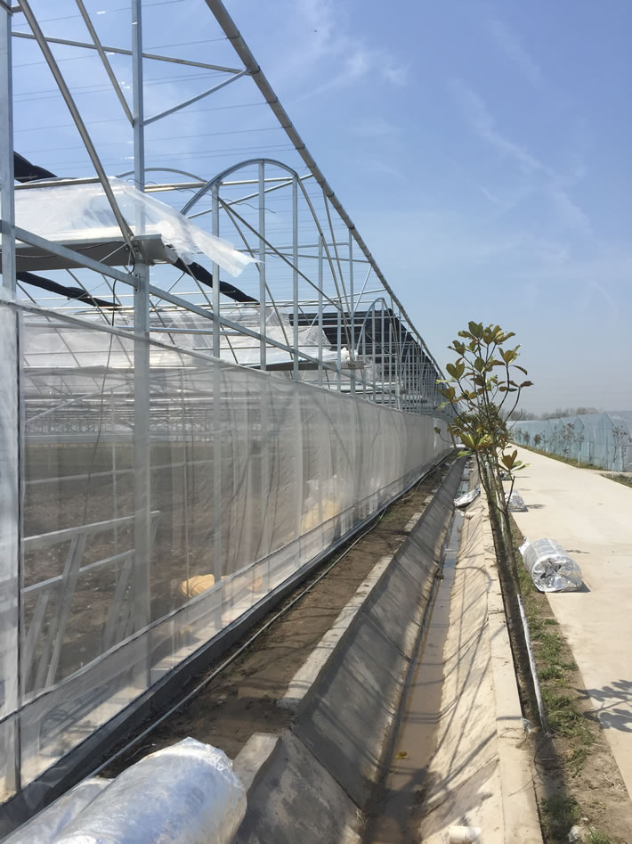 南通市金硕农场