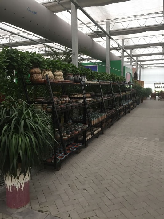 盐城花市玻璃棚